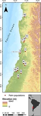 Niche models as a tool to inform restoration and conservation strategies: the case of Jubaea chilensis (palm, Arecaceae) and its seed disperser Octodon degus (rodent, Octodontidae)